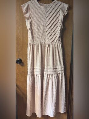 Light Blush Swiss Dot Midi Dress
